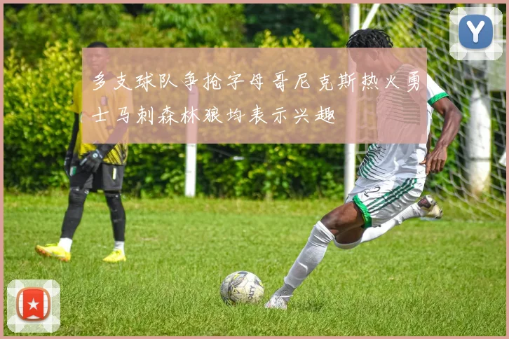 多支球队争抢字母哥尼克斯热火勇士马刺森林狼均表示兴趣