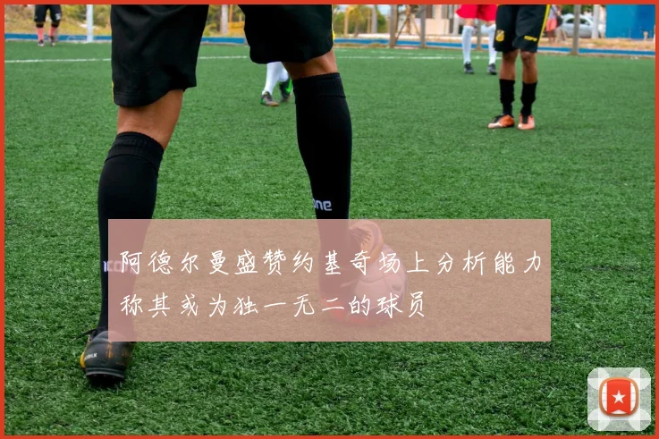 阿德尔曼盛赞约基奇场上分析能力称其或为独一无二的球员
